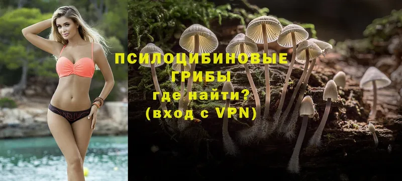 Галлюциногенные грибы Magic Shrooms  Махачкала 